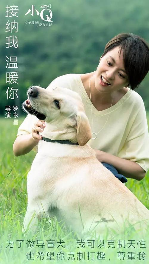 克莱蒙学院证书
